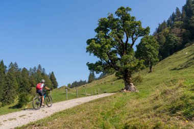Avusturya 'nın Vorarlberg kentindeki Bregenzer Wald dağ sırasındaki Winterstaude zirvesinin aşağısındaki Schreiber Sattel' e elektrikli dağ bisikletiyle giden son sınıf öğrencisi hoş bir kadın.