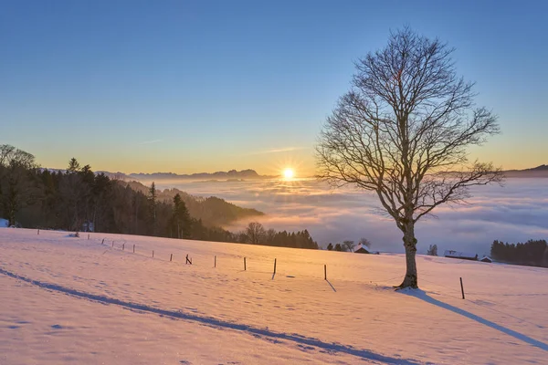 Pôr Sol Nevado Bregenzer Wald Área Vorarlberg Áustria Com Vista — Fotografia de Stock
