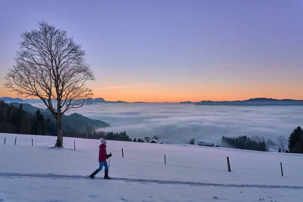 Mulher Sênior Caminhadas Neve Com Sapatos Neve Pôr Sol Área — Fotografia de Stock