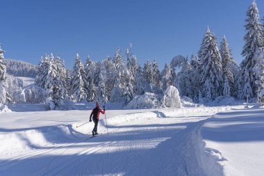 Almanya 'da Immenstadt, Bavyera yakınlarındaki Allgau Alplerinde taze toz kar altında kayak yapan güzel, aktif, son sınıf öğrencisi bir kadın.