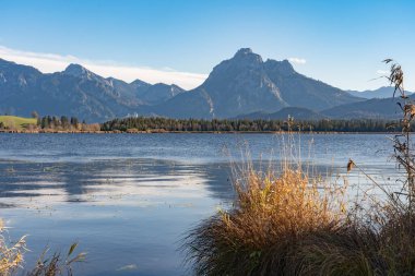Batı Allgaeu 'deki Weissensee Gölü' nün sonbahar atmosferinde Fuessen şehrinin doğusunda arka planda Suling zirvesi, Almanya 'nın Bavyera Alpleri
