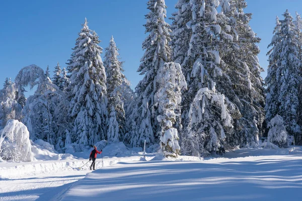 Hermosa Mujer Mayor Activa Esquí Fondo Nieve Fresca Caída Polvo — Foto de Stock