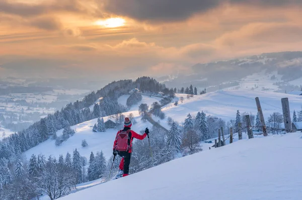 Nice Active Senior Woman Snowshoeing Allgaeu Alps Oberstaufen View Bregenzerwald — Fotografia de Stock