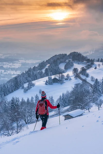 Miła Aktywna Seniorka Alpach Allgaeu Koło Oberstaufen Widokiem Bregenzerwald Vorarlberg — Zdjęcie stockowe