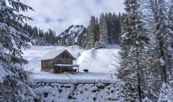 Stuttgart 'tan Münih' e giden yeni tren yolu için inşaat alanının altında elektrikli dağ bisikletli bir kadın. Fils Valley, Bden-Wrttemberg, Almanya 'da birleşik tünel ve köprü inşaatı 