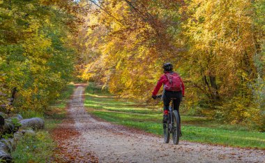 Swabian Alb, Baden-Wuerttemberg, Almanya 'nın altın renkli sonbahar ormanlarında elektrikli bisikletine binen sempatik yaşlı kadın.