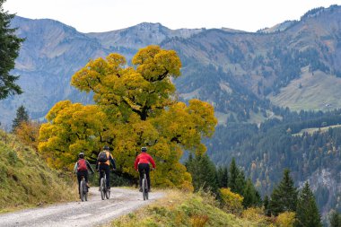 Avusturya, Vorarlberg, Mellau yakınlarındaki Bregenz Wald dağlarının sonbahar atmosferinde dağ bisikletlerine binen üç mutlu yetişkin.