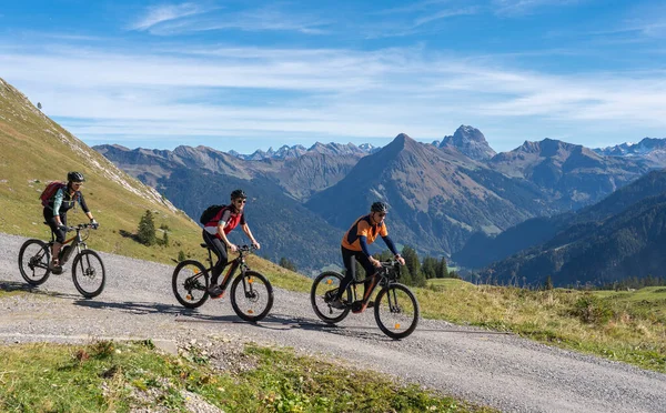 Tre Glada Äldre Vuxna Rida Sina Mountainbikes Höst Atmosfären Bregenz — Stockfoto