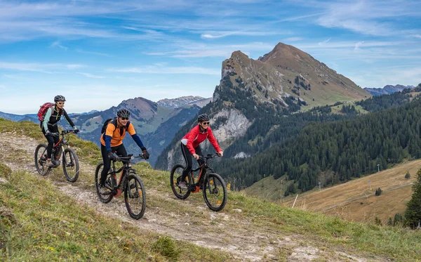 Tre Glada Äldre Vuxna Rida Sina Mountainbikes Höst Atmosfären Bregenz — Stockfoto