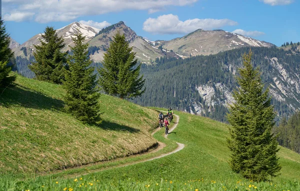 Grupo Tres Personas Mayores Activas Montando Sus Bicicletas Eléctricas Montaña — Foto de Stock