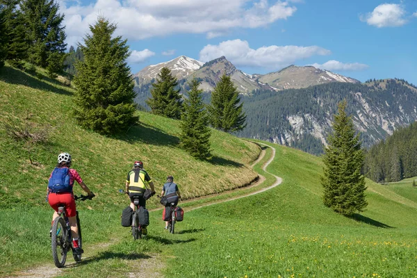 Groep Van Drie Actieve Senioren Hun Elektrische Mountainbike Het Lech — Stockfoto