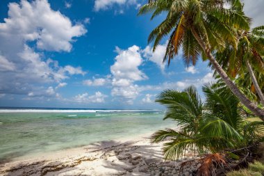 Pasifik Okyanusu, Beyaz Plaj ve palmiye ağaçları Moorea, Society Adaları, Fransız Polinezyası 'nda rüzgâr esintisinde sallanıyor.