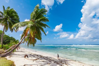tropic ocean, white beach and beautyful palm trees on Bora Bora Island, society Islands, Frenxh Polynesia