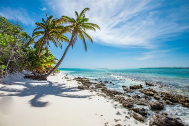 tropic ocean, white beach and beautyful palm trees on Bora Bora Island, society Islands, French Polynesia