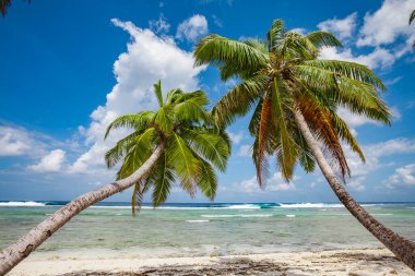 tropic ocean, white beach and beautyful palm trees on Bora Bora Island, society Islands, French Polynesia