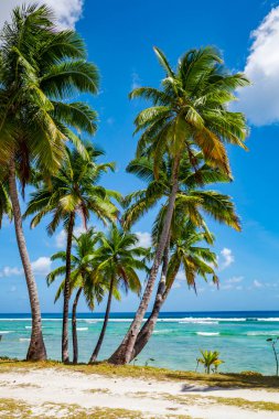 tropic ocean, white beach and beautyful palm trees on Bora Bora Island, society Islands, French Polynesia