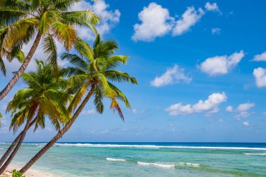 tropic ocean, white beach and beautyful palm trees on Bora Bora Island, society Islands, French Polynesia