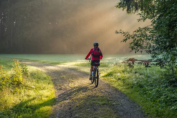 Nice Senior Woman Riding Electrica Mountain Bike Atmosperic Morning Sunrise — Stock Fotó