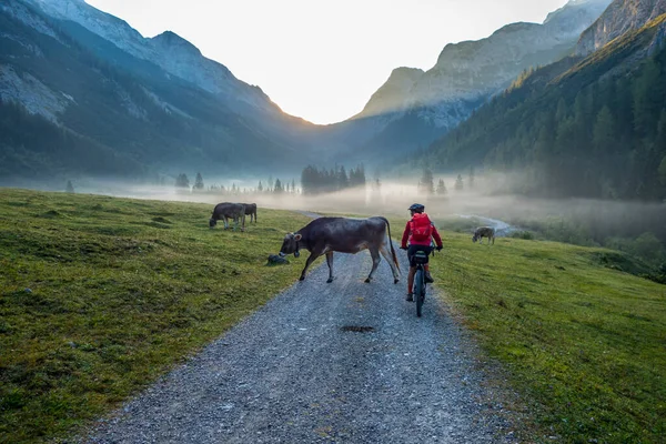 Ηλικιωμένη Ιππασία Mountainbike Της Στην Οροσειρά Karwendel Τιρόλο Αυστρία — Φωτογραφία Αρχείου
