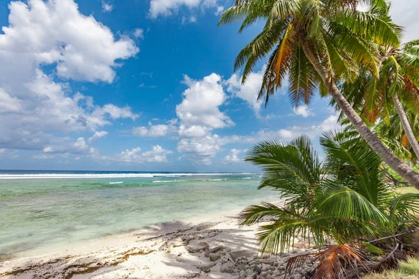 tropic ocean, white beach and beautyful palm trees on Bora Bora Island, society Islands, French Polynesia