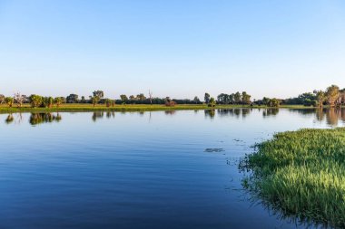 Peaceful landscape at sunrise in White water Billabong, Kakadu National Park, Northern Territory, Australia