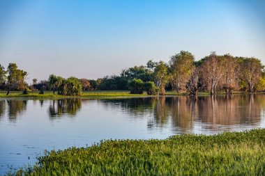 Peaceful landscape at sunrise in White water Billabong, Kakadu National Park, Northern Territory, Australia
