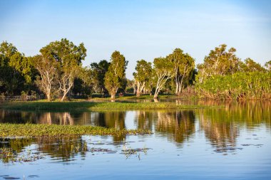 Peaceful landscape at sunrise in White water Billabong, Kakadu National Park, Northern Territory, Australia