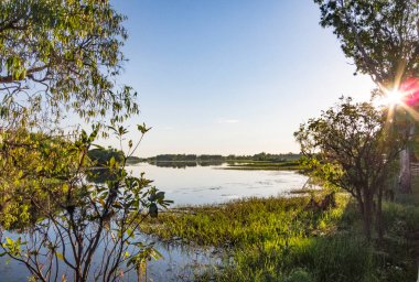 Peaceful landscape at sunrise in White water Billabong, Kakadu National Park, Northern Territory, Australia