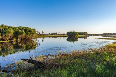 Peaceful landscape at sunrise in White water Billabong, Kakadu National Park, Northern Territory, Australia