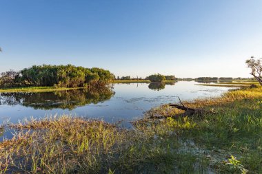 Peaceful landscape at sunrise in White water Billabong, Kakadu National Park, Northern Territory, Australia