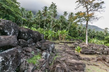historic stone statues, so called Tikis, on Hiva Oa Island, Marquesas Islands, French Polynesia