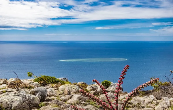 Spectacular View Captain Cooks Lookout Top Lizard Island Grat Barrier — Stock Photo, Image