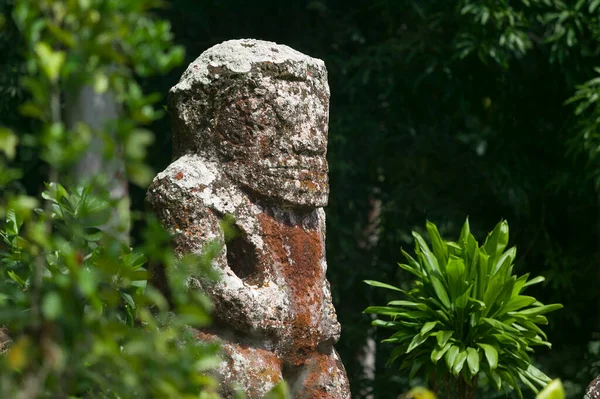 Historic Stone Statues Called Tikis Hiva Island Marquesas Islands French — 스톡 사진