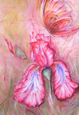 İris çiçeği ve kelebek, suluboya çizimi.