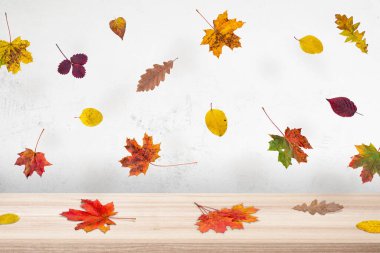 Renkli sonbahar yaprakları masaya düşer. Yaratıcı bir kavram. Ürün sunumu için arkaplan. 