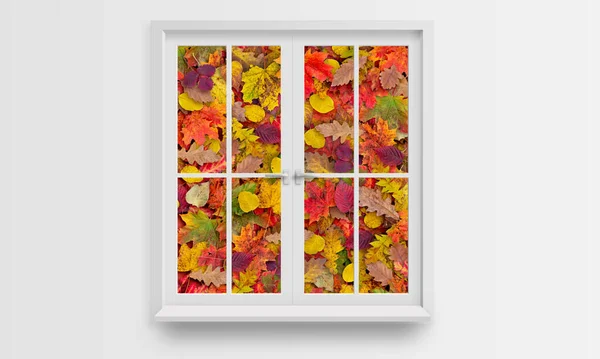 Kreatywna Koncepcja Jesieni Oknem Kolorowymi Liśćmi — Zdjęcie stockowe