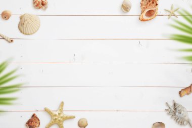 Beyaz tahta yüzeyinde fotokopi alanı olan tropik seyahat kompozisyonu. Kabuklar ve palmiye yaprakları yanında. Üst manzara, düz uzanma