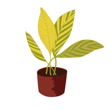 Kahverengi bir tencerede büyük yapraklı bir ev bitkisinin vektör çizimi.