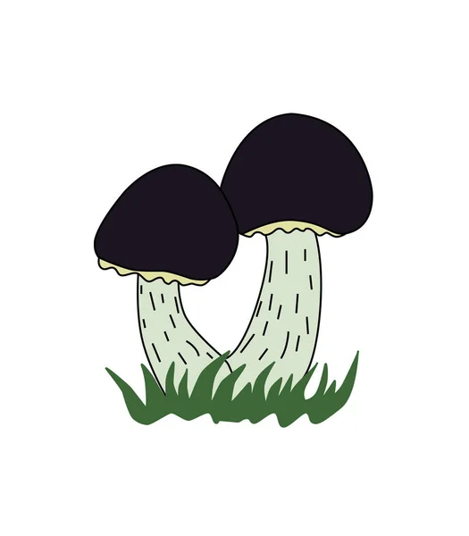 Champignons Noirs Amanita Isolés Sur Fond Blanc Illustration Vectorielle — Image vectorielle