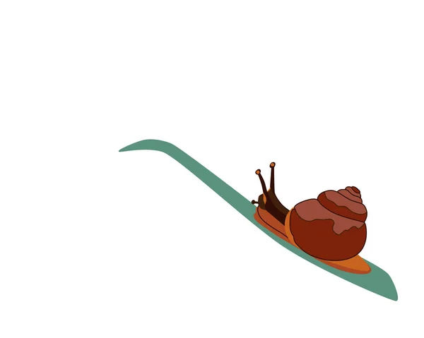 Vektorillustration Einer Einfachen Schnecke Die Nach Oben Kriecht Ein Symbol — Stockvektor