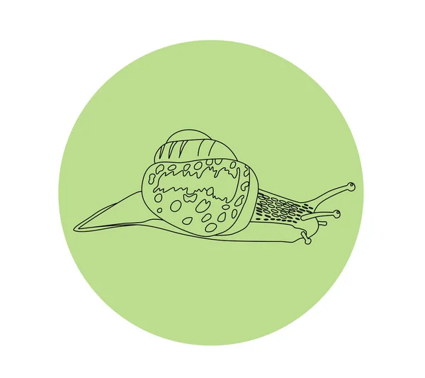 カタツムリのベクトル輪郭図 — ストックベクタ