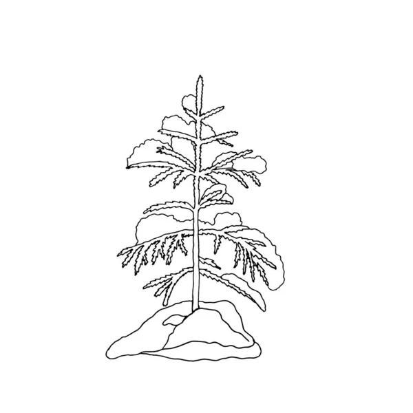 Illustrazione Vettoriale Albero Conifere Inverno Fiocchi Neve Cadenti — Vettoriale Stock