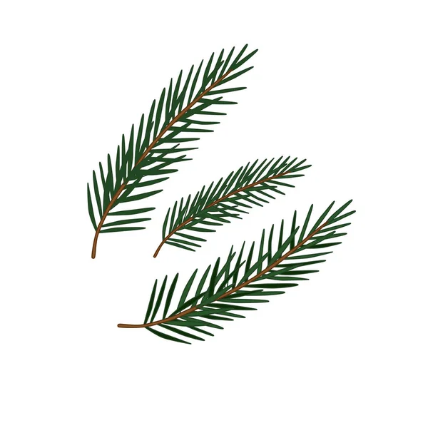 Three Spruce Branches Decoration Isolated White Background Vector Eps10 — Stock Vector