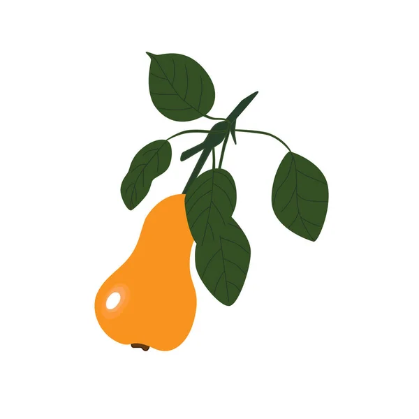 Ripe Yellow Pear Hanging Branch Leaves Vector Illustration Seasonal Fruit — Stockvektor