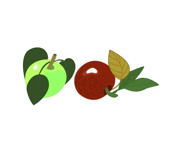 Two Ripe Apples Red Green Color Isolated White Background Vector — Stockvektor