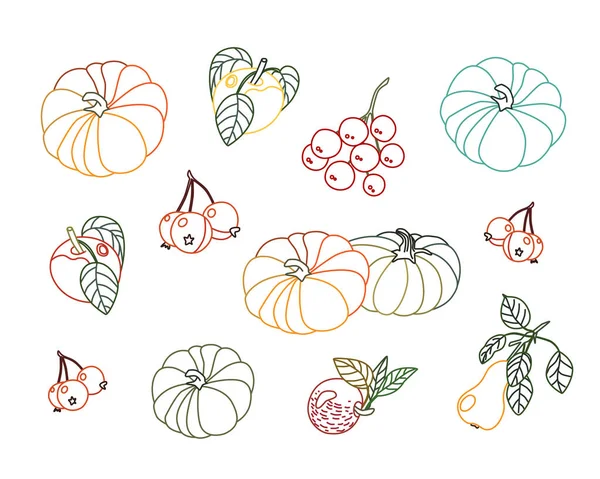 Hand Drawn Set Mountain Ash Viburnum Pumpkin Apples Pears Autumn — Stockvektor