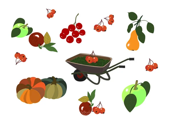 Handgezeichnetes Vektor Set Von Gartenwagen Eberesche Viburnum Kürbis Äpfel Birnen — Stockvektor
