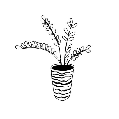  Beyaz arka planda saksı çiçeği. Karalama biçiminde vektör illüstrasyonuName.