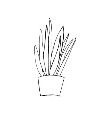 Yaprakları düz, el yapımı bir saksı. Karalama biçiminde vektör kontur simgesi, beyaz arkaplan üzerinde izole.