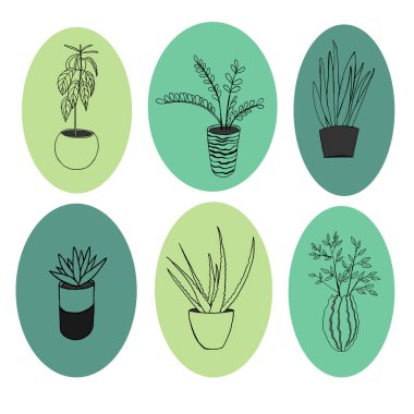  Düz vektör simgeleri kümesi. Kapalı alandaki bitkiler. EPS10 'un Vektör illüstrasyonu.